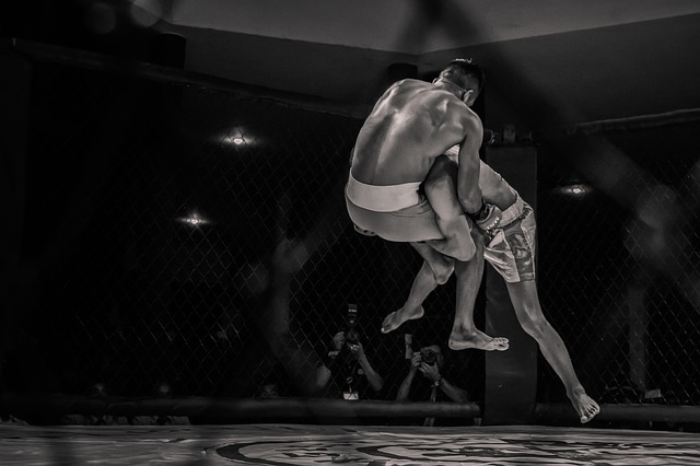 bjj shorts
