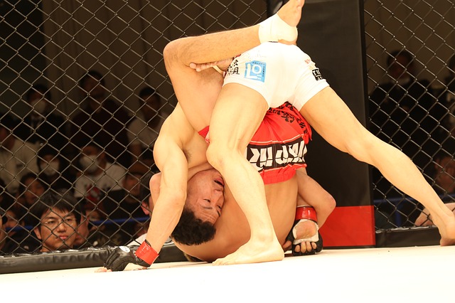 grappling shorts