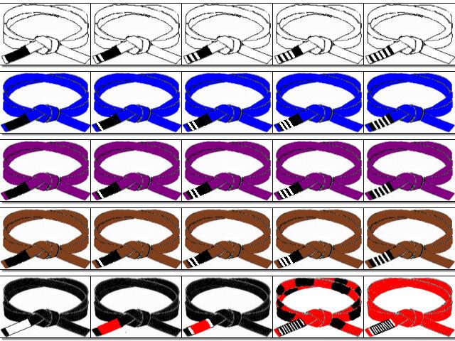 jiu-jitsu-belt-level